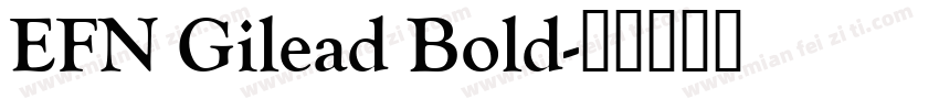 EFN Gilead Bold字体转换